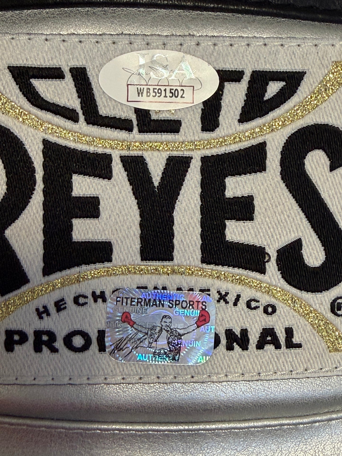 Mike Tyson Silver Reyes Autographed Boxing Glove with Lighted Display Case