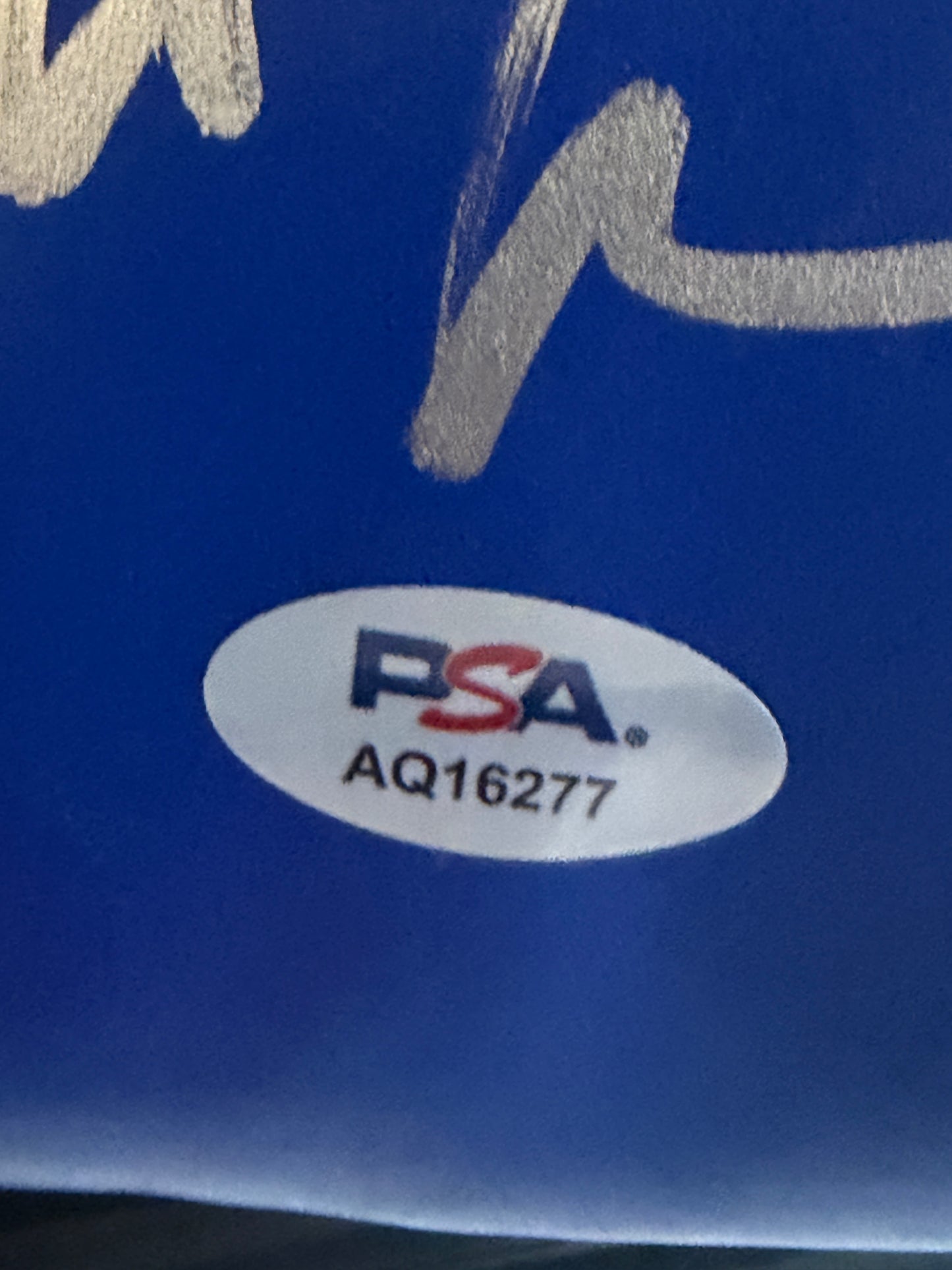 Mike Tyson Art Display With A Signed Blue Everlast Glove 29x17 Frame