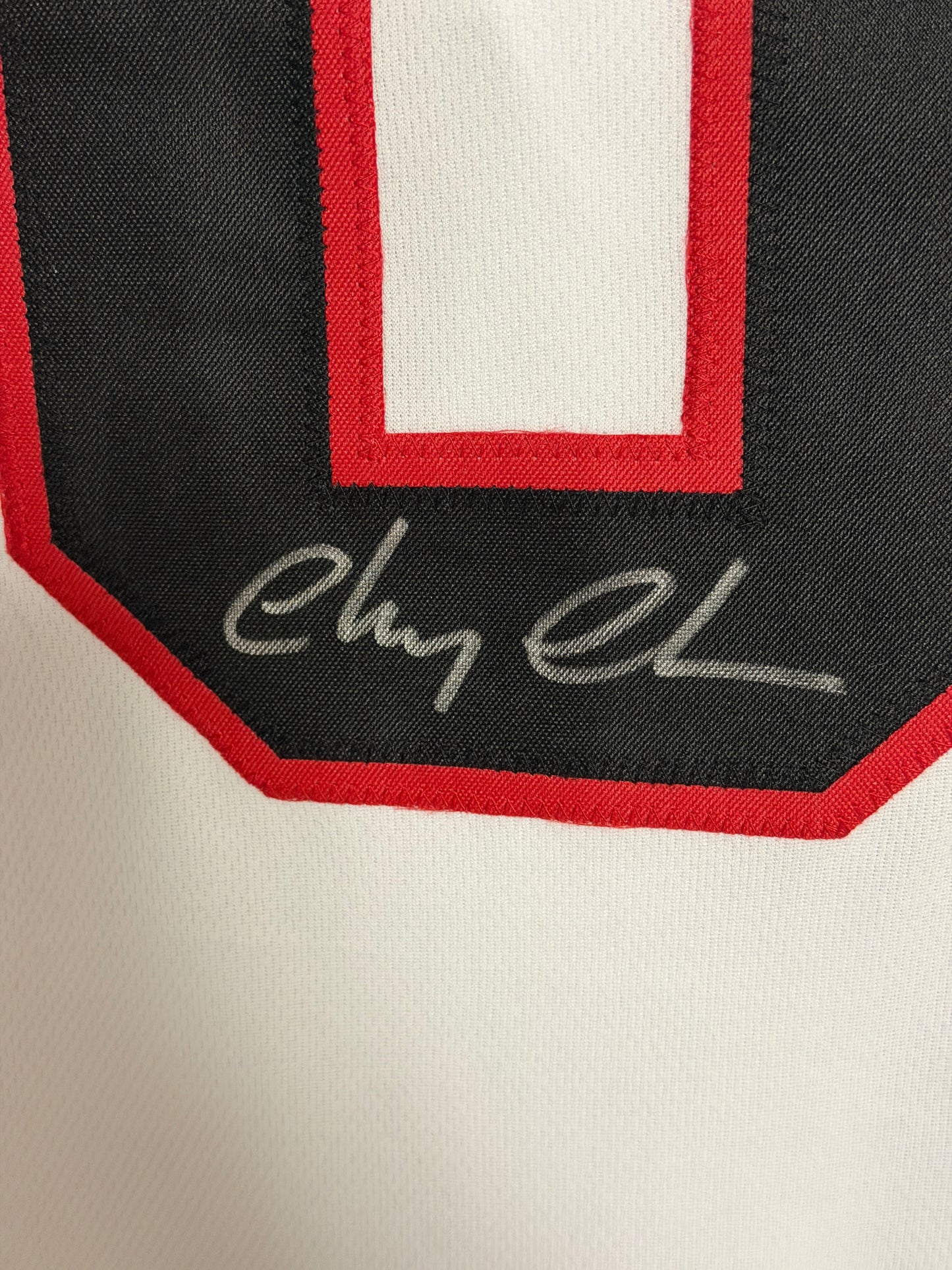 Chevy Chase Signed Custom Jersey“Christmas Vacation” JSA Authenticated